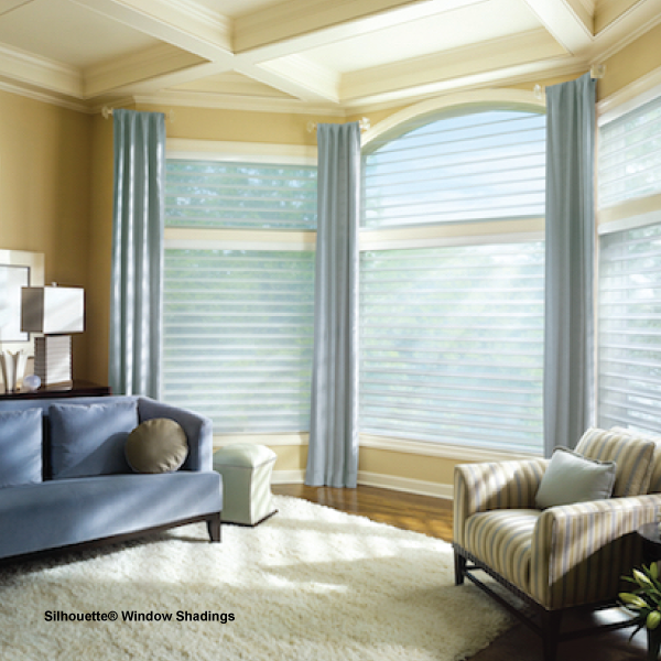 Blinds And Window Shades