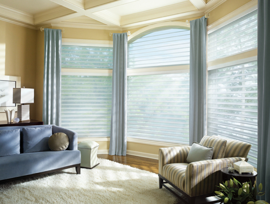 Blackout curtains with Silhouette Window Shadings
