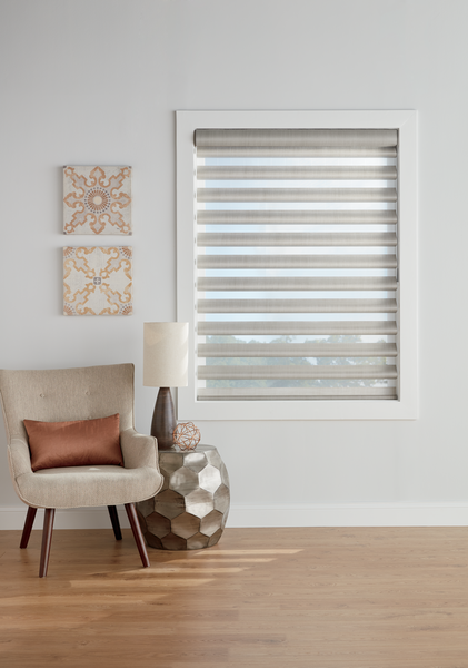 Hunter Douglas Pirouette Window Shadings