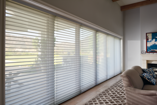 Hunter Douglas sheer shades