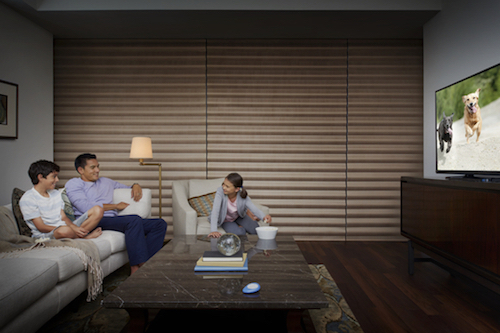 Hunter Douglas automated shades