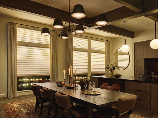 Hunter Douglas Aura™ Shades