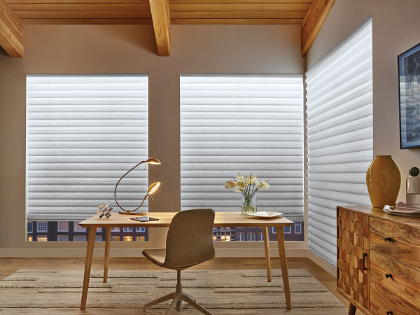 Aura™ window shades