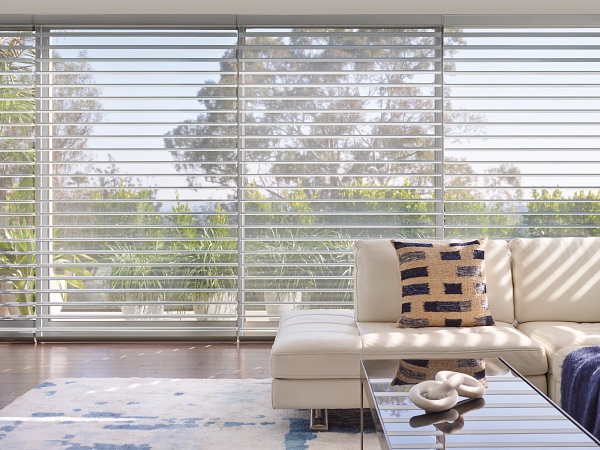 Hunter Douglas Silhouette® Clearview® Shades