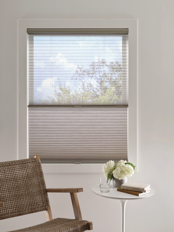 Hunter Douglas Clearview Shades