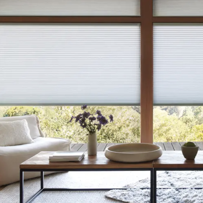 Duette® Energy Efficient Shades